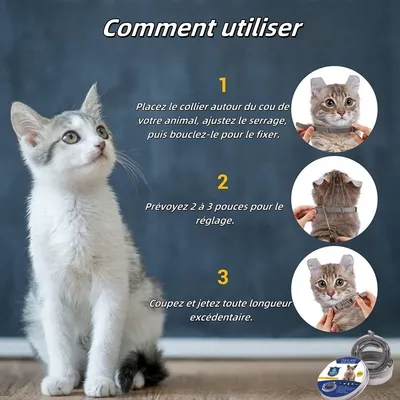 FurryFusion Collier anti-puces et anti-tiques pour  chat