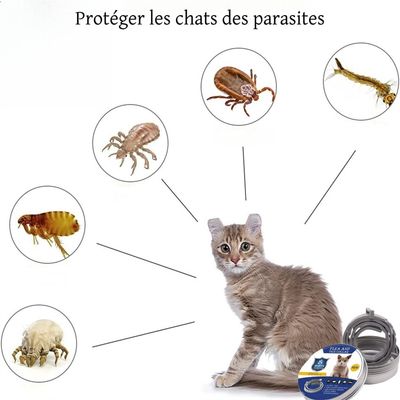 FurryFusion Collier anti-puces et anti-tiques pour chat