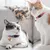 FurryFusion Collier pour Chat - Avec Cloche