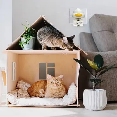 FurryFusion Tranquillisant pour chat 100 ml