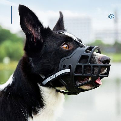 FurryFusion Muselière Pour Chien - En Mailles