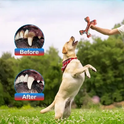 FurryFusion - Jouet Os en Nylon Résistant pour Chiens