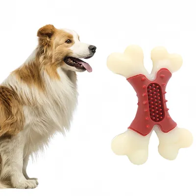 FurryFusion - Jouet de Mastication en Double Os pour Chiens
