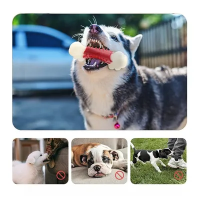 FurryFusion - Jouet de Mastication en Double Os pour Chiens