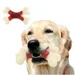 FurryFusion - Jouet de Mastication en Double Os pour Chiens