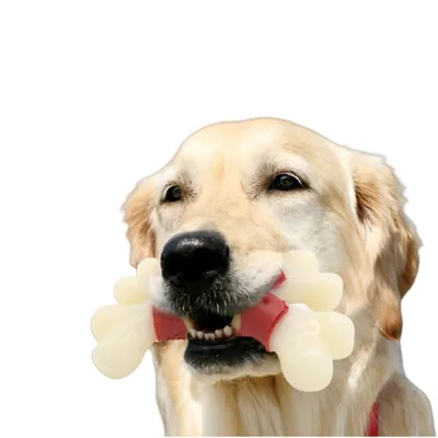 FurryFusion - Jouet de Mastication en Double Os pour Chiens