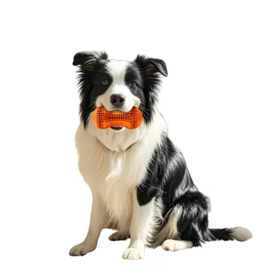FurryFusion Bâton à mâcher en caoutchouc naturel pour chien FurryFusion Bâton à mâcher en caoutchouc naturel pour chien