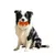 FurryFusion Bâton à mâcher en caoutchouc naturel pour chien FurryFusion Bâton à mâcher en caoutchouc naturel pour chien