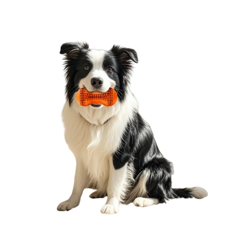 FurryFusion Bâton à mâcher en caoutchouc naturel pour chien