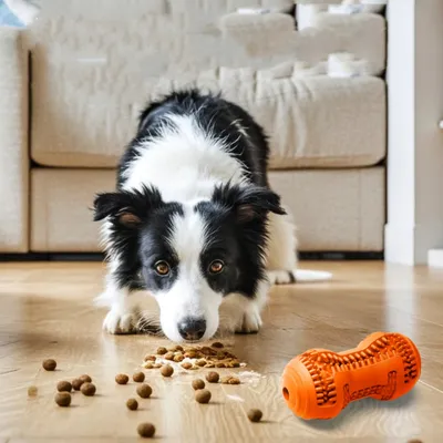 FurryFusion Bâton à mâcher en caoutchouc naturel pour chien