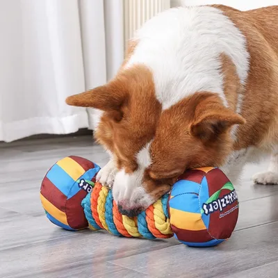 FurryFusion Jouet en peluche pour chien en forme d'haltère