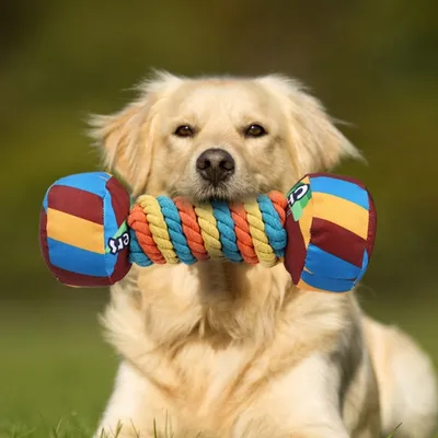 FurryFusion Jouet en peluche pour chien en forme d'haltère