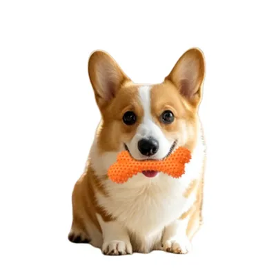 FurryFusion Os à clous mous pour chien