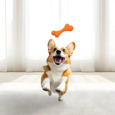 FurryFusion Os à clous mous pour chien