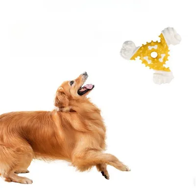 FurryFusion - Bâton Dentaire en Nylon pour Chiens