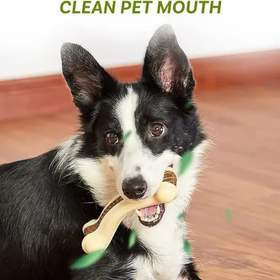 FurryFusion Jouets à Mâcher pour Chien