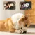 FurryFusion Jouets à Mâcher pour Chien