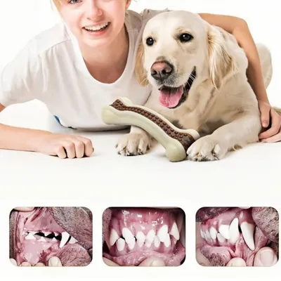 FurryFusion Jouets à Mâcher pour Chien