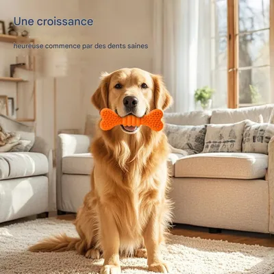 FurryFusion Jouet os perforé pour chien moyen