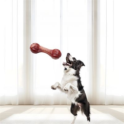 FurryFusion - Jouet de Mastication Indéfectible pour Chiens