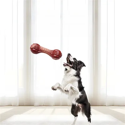 FurryFusion - Jouet de Mastication Indéfectible pour Chiens