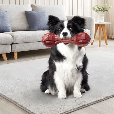 FurryFusion - Jouet de Mastication Indéfectible pour Chiens