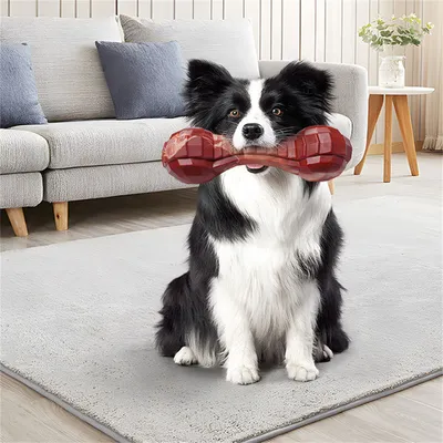 FurryFusion - Jouet de Mastication Indéfectible pour Chiens