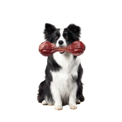 FurryFusion Os en nylon dentelé pour chien moyen, résistant et dentifrice