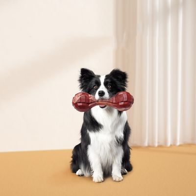 FurryFusion Os en nylon dentelé pour chien moyen, résistant et dentifrice