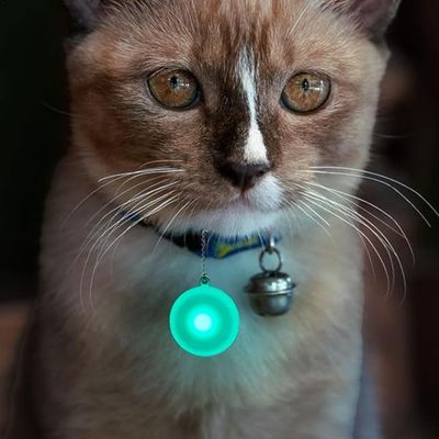 FurryFusion Colgante luminoso para collar