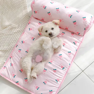 FurryFusion Lit en soie de glace Tapis pour animaux de compagnie