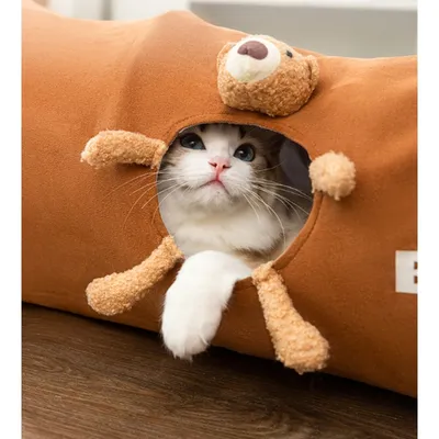 FurryFusion Tunnel Pliable pour Chat