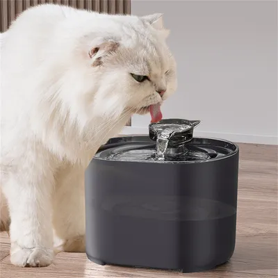 FurryFusion - Boireau Intelligent pour Animaux (2,2 L)