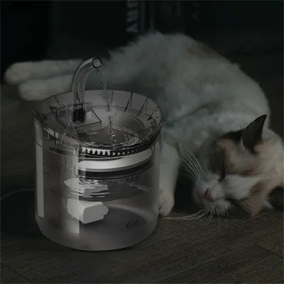 FurryFusion - Boireau Automatique pour Animaux