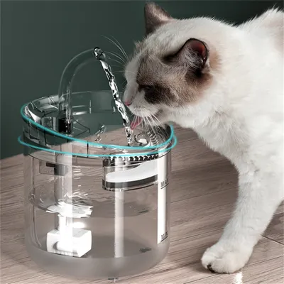 FurryFusion - Boireau Automatique pour Animaux