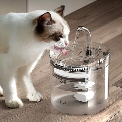 FurryFusion - Boireau Automatique pour Animaux