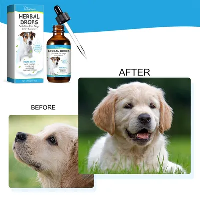 FurryFusion Médicament naturel contre la toux du chien 60 ml