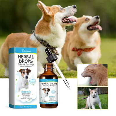 FurryFusion Médicament naturel contre la toux du chien 60 ml