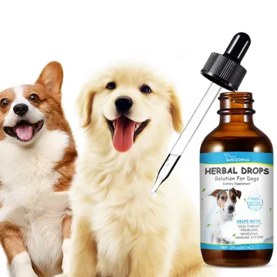 FurryFusion Médicament naturel contre la toux du chien 60 ml