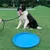 FurryFusion Frisbee pour chien, flottant et résistant