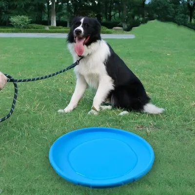 FurryFusion Frisbee pour chien, flottant et résistant