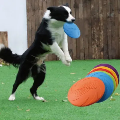 FurryFusion Frisbee pour chien, flottant et résistant