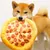 FurryFusion Jouet à pizza en peluche pour chien et chat