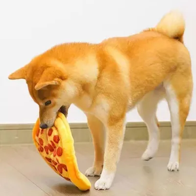 FurryFusion Jouet à pizza en peluche pour chien et chat