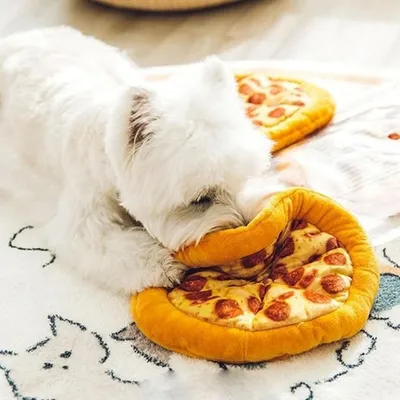 FurryFusion Jouet à pizza en peluche pour chien et chat