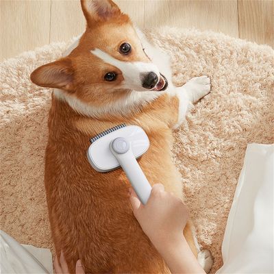 FurryFusion - Brosse 2 en 1 pour chat et chien