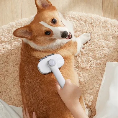 FurryFusion - Brosse 2 en 1 pour chat et chien