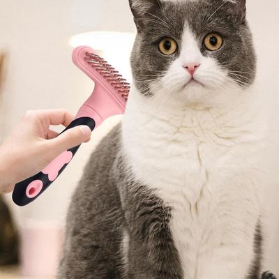 FurryFusion Peigne pour animaux de compagnie Élimine les poils et les nœuds