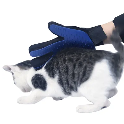 FurryFusion Gant de brosse pour animaux de compagnie