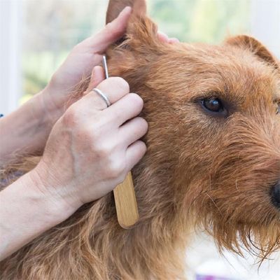 FurryFusion - Couteau à trimmer pour chien